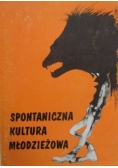 Spontaniczna kultura młodzieżowa