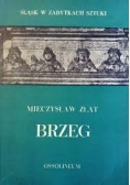 Śląsk w zabytkach sztuki. Brzeg