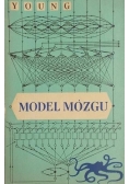 Model Mózgu