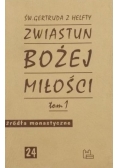 Zwiastun Bożej miłości 24, Tom 1