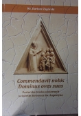 Commendavit nobis Dominus oves suas. Pasterska troska o wiernych w świetle Sermones św. Augustyna
