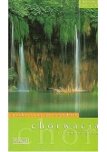 Chorwacja i Czarnogóra