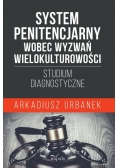 System penitencjarny wobec wyzwań wielokulturowości