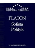 Sofista, Polityk