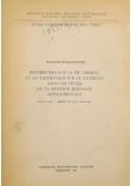 Studia z dziejów osadnictwa, Tom 2