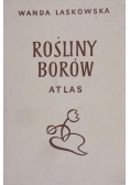 Rośliny borów. Atlas