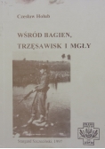 Wśród bagien trzęsawisk i  mgły