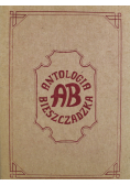 Antologia bieszczadzka