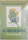 O ziołach leczniczych