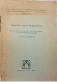 Turpilii Comici Fragmenta