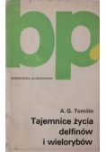 Tajemnice życia delfinów i wielorybów
