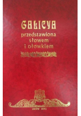 Galicya przedstawiona słowem i ołówkiem Reprint z 1892 r