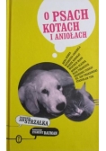O psach kotach i aniołach