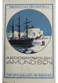 Amundsen na tle nansena i wikingów polarnych 1929 r.