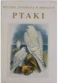 Historia naturalna w obrazach. Ptaki