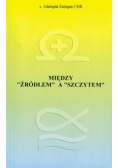 Między "źródłem" a "szczytem"