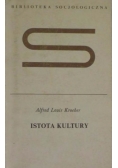 Istota kultury