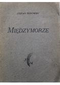 Międzymorze 1924 r.