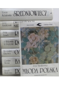 Wielka Historia Literatury Polskiej 8 tomów
