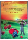 Program wychowania przedszkolnego według systemu  pedagogicznego bł. Bronisława Markiewicza. Kosz malin