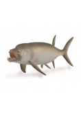 Wymarła ryba Xiphactinus