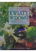 Kwiaty w domu Jak dobierać i pielęgnować rośliny doniczkowe