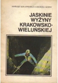 Jaskinie wyżyny krakowsko - wieluńskiej