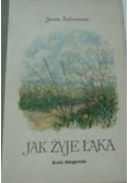 Jak żyje łąka