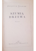 Szumią drzewa