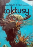 Kaktusy
