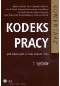 Kodeks pracy. Komentarz
