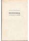 Brzezinka wspomnienia z obozu