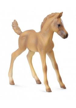 Koń źrebię stojące Haflinger
