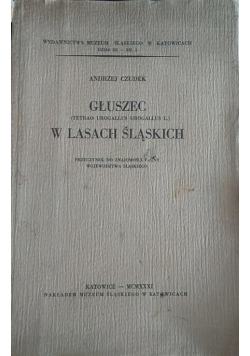 Głuszec w lasach Śląskich, 1931r