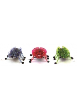Hexbug Żuczek