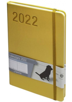 Kalendarz 2022 Minimalizm A5 złoy TNS ANTRA