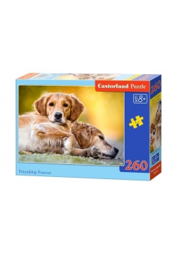 Puzzle 260 Przyjaźń na zawsze CASTOR