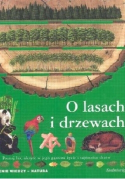 O lasach i drzewach