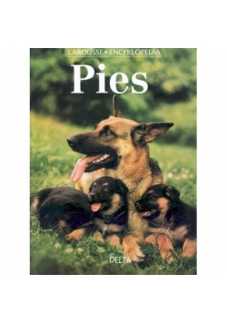 Pies