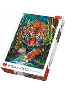 Puzzle 1000 Drapieżny Tygrys