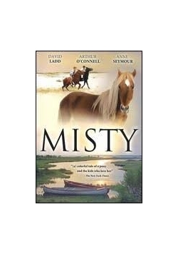 Misty ,Płyta DVD