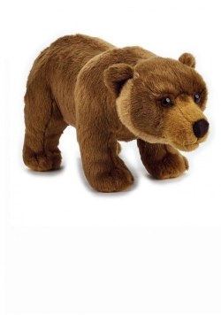 Plusz Basic Niedźwiedź Grizzly