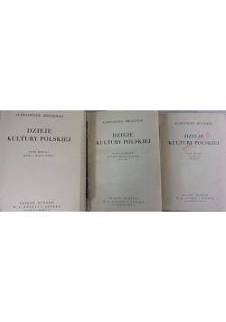 Dzieje kultury polskiej, tom I-III, 1931 r.