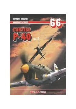 Curtiss P-40 cz. 3