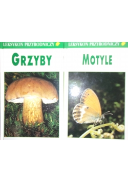 Motyle /Grzyby