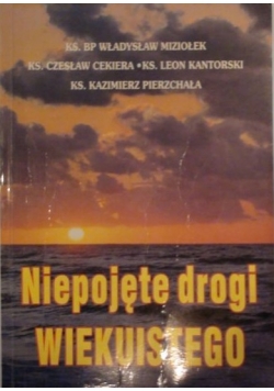 Mazurek Adam (red.) - Niepojęte drogi wiekuistego