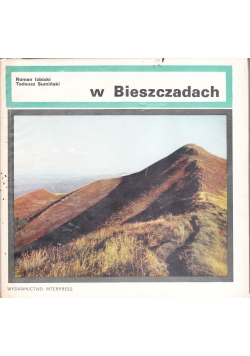 W Bieszczadach