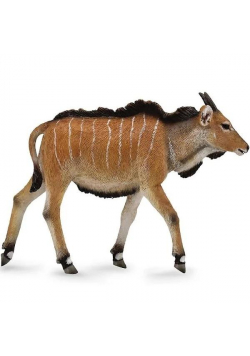 Antylopa Eland cielę