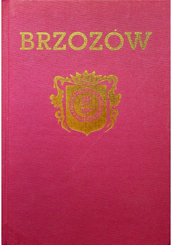 Brzozów Zarys Monograficzny
