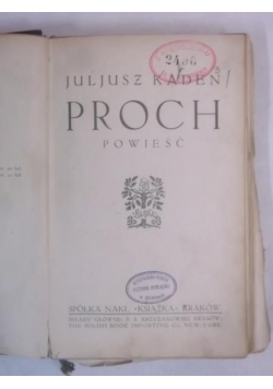Proch, 1913 r.